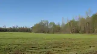 Marshall Site(15 CE 27)