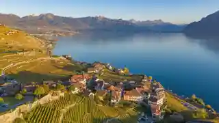 Lavaux