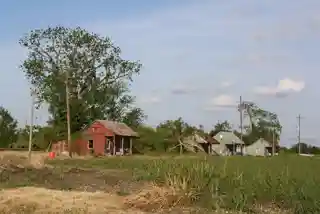 Allendale Plantation