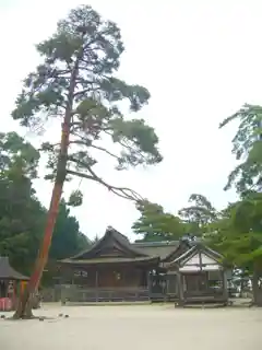 Shirahige Jinja 白鬚神社
