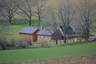 Glebe Schoolhouse