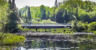 Chicagon Mine Road–Chicagon Creek Bridge
