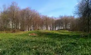 Jacket's Field Long Barrow