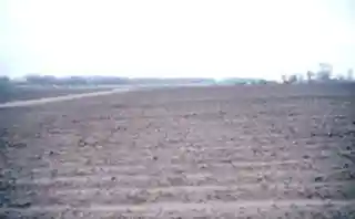Nodena site