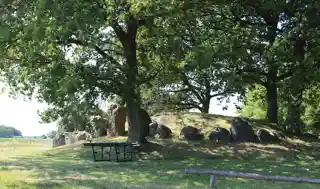 Kong Svends Høj