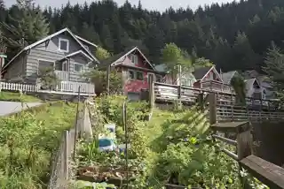 Fries Miners' Cabins