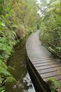 Pupu Hydro Power Scheme