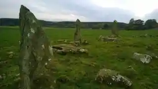 Auld Bourtreebush