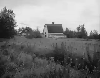 Bailey Colony Farm