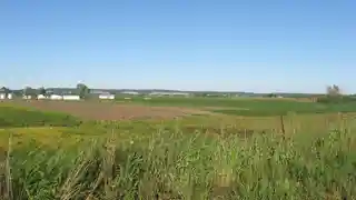Kolmer Site