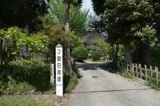 Asahi Shell Midden