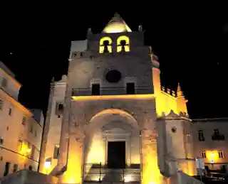 Our Lady of the Assumption Cathedral
