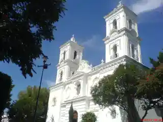 St. Mary of the Assumption Cathedral