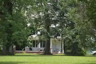 Elmwood Plantation