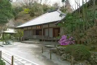 Meigetsu-in明月院