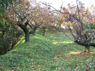 Nishikawa Castle