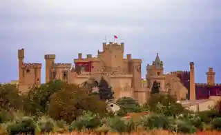 Palace of the Kings of Navarre of Olite