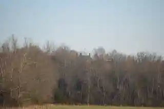 Locust Grove
