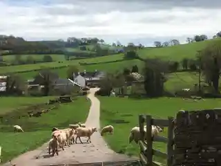 Barn, Stable and Cider House, Great Tre-Rhew Farm