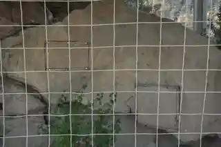 Initial Rock