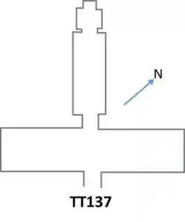 TT137