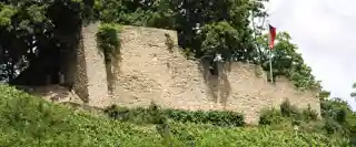 New Wolfstein Castle
