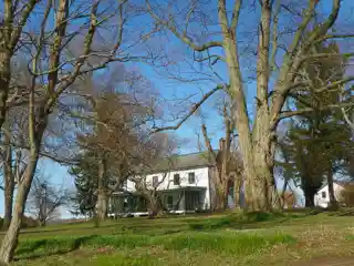 Alasa Farms