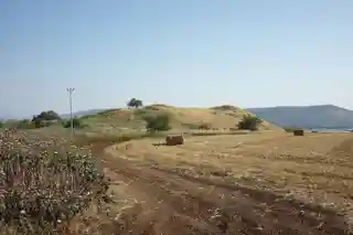 City: Kinneret, Chinnereth;Archaeological site: Tel Kinrot (Modern Hebrew),Tell el-'Oreimeh (Arabic)