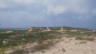 Tel Tanninim