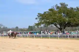 Aiken Training Track