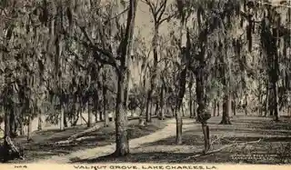 Walnut Grove