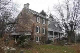 Webster's Forest