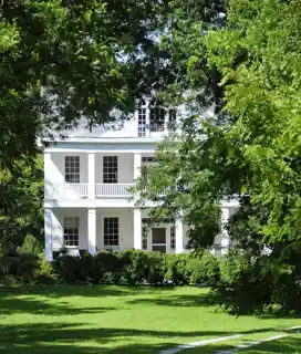 Fonti Flora Plantation