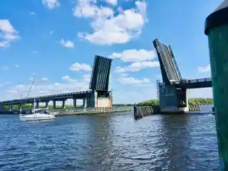 Wilson Pigott Bridge
