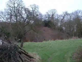 Buckenham Castle