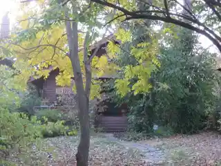 George Philip Meier House