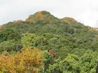 Shigisan castle