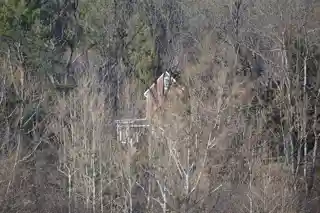 River Bluff
