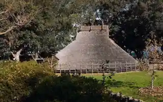 Tano site
