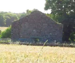 Clone Church