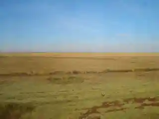 Saryarka – Steppe and Lakes of Northern Kazakhstan