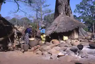 Bassari Country