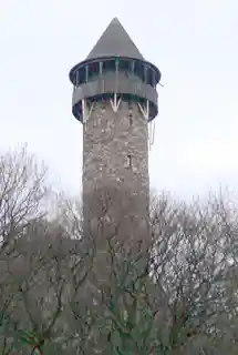 Wildenburg Castle