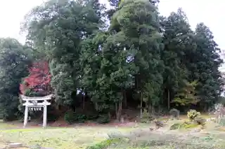 Kabutoyama Kofun