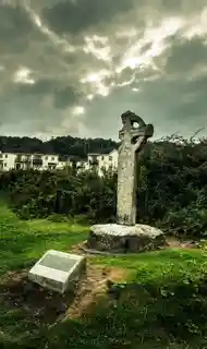 Kilgobbin Cross