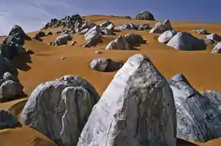 Aïr and Ténéré National Nature Reserve