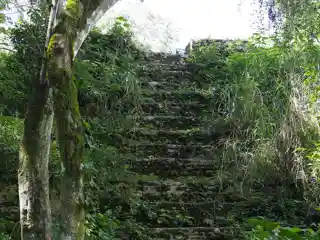 Pacbitun