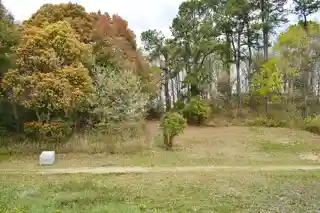 Saijō Kofun cluster