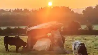 Ballynageeragh Portal Tomb