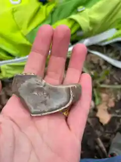 Grand Meadow Quarry Archeological District